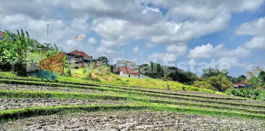 Studio Villa in Canggu, Badung, Bali (2502)