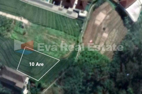 1000m2 Villa in Canggu, Badung, Bali (2502) 2