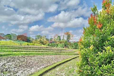 1000m2 Villa in Canggu, Badung, Bali (2502) 3