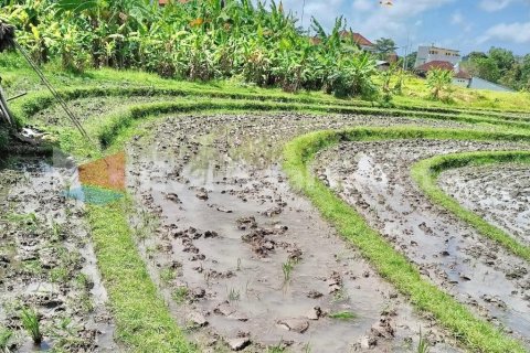 1000m2 Villa in Canggu, Badung, Bali (2502) 4