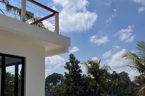 2 bedrooms Villa in Ubud, Gianyar, Bali (14411) 12