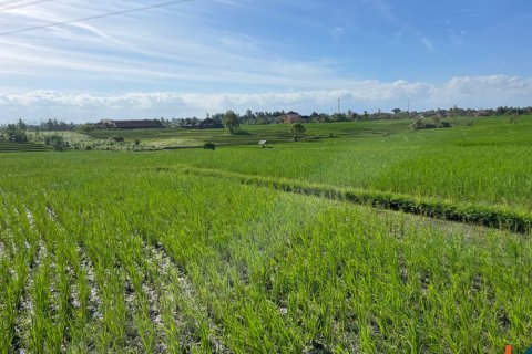 Land in Tabanan, Bali (12150)