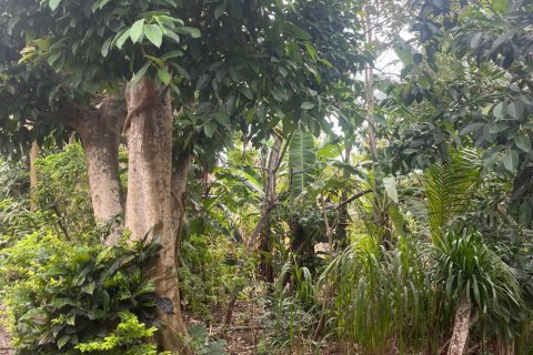 Land in Ungasan, Badung, Bali (11824) 6