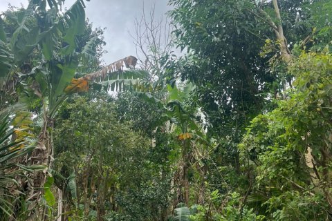 Land in Ungasan, Badung, Bali (11824) 5