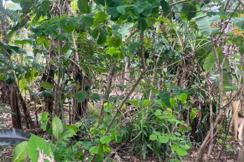 Land in Ungasan, Badung, Bali (11824) 2