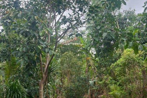 Land in Ungasan, Badung, Bali (11824) 3