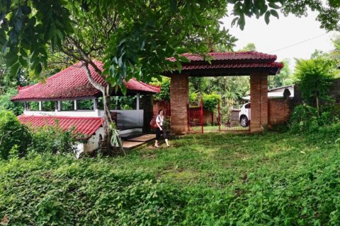 Land in Lovina, Anturan, Buleleng, Bali (11825) 4