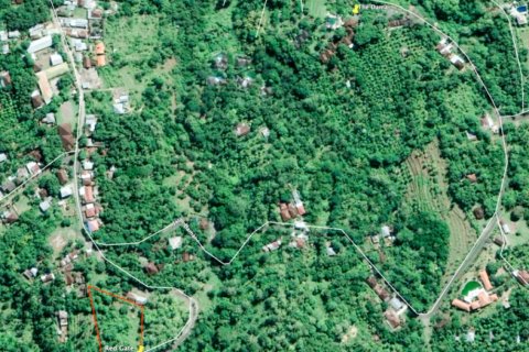 Land in Lovina, Anturan, Buleleng, Bali (11825) 3
