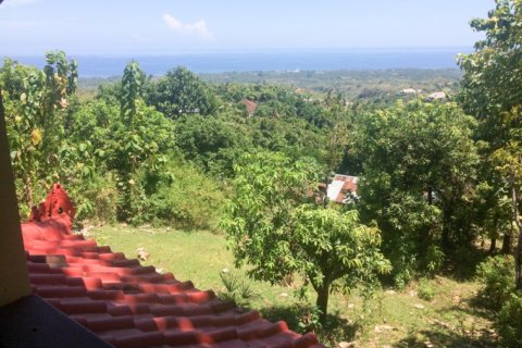Land in Lovina, Anturan, Buleleng, Bali (11825)