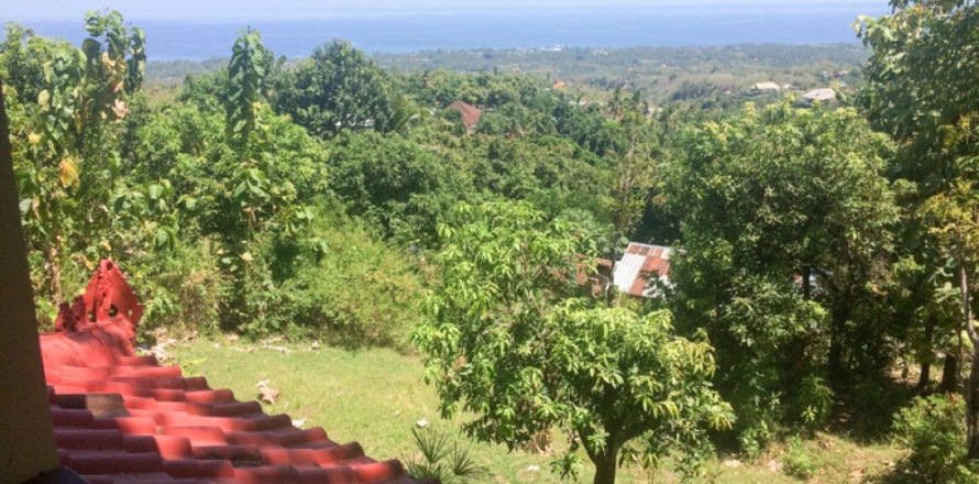 Land in Lovina, Anturan, Buleleng, Bali (11825)