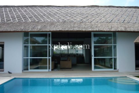 Вилла с 2 спальнями в Семиньяк, Бадунг, (9284) 4