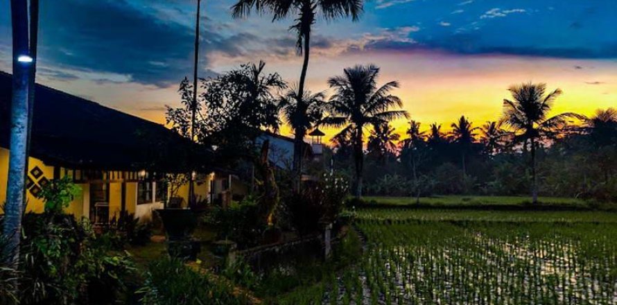 Отель, гостиница с 19 спальнями в Убуд, Гианьяр,  (9285)