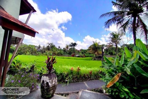 Отель, гостиница с 19 спальнями в Убуд, Гианьяр,  (9285) 7