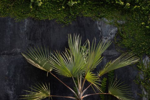 3 bedrooms Villa in Munggu, Mengwi, Badung, Bali (4521) 15