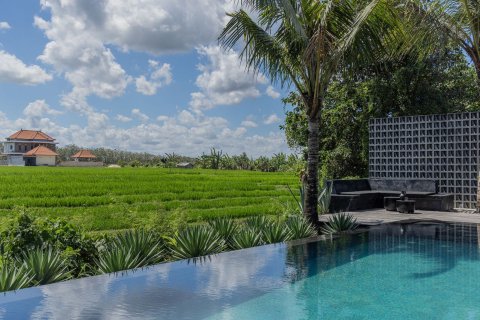3 bedrooms Villa in Munggu, Mengwi, Badung, Bali (4521) 3