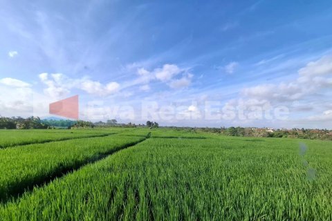 2 bedrooms Villa in Kaba-Kaba, Kediri, Tabanan, Bali (14806) 17