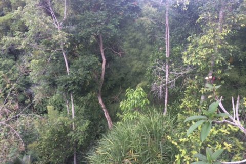 Land in Klungkung, Bali (12322)
