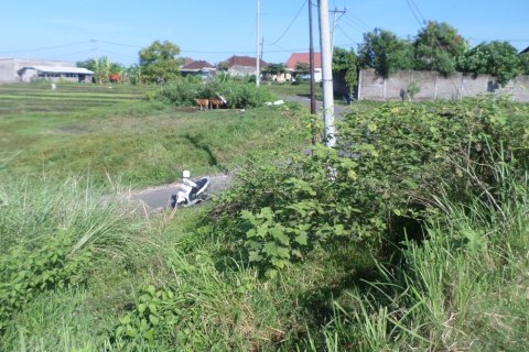 Земельный участок на Бали (12324) 6