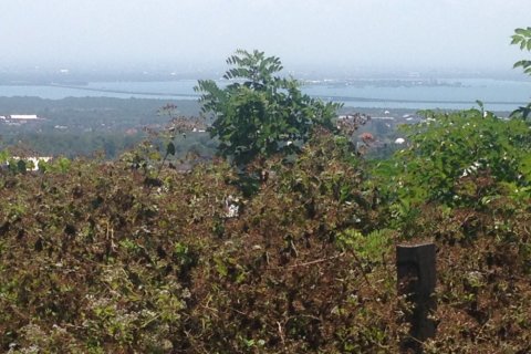Land in Nusa Dua, Badung, Bali (12323) 4