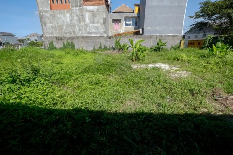 Land in Denpasar, Bali (12326)