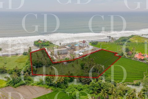 Land in Beraban, Kediri, Tabanan, Bali (15652) 6