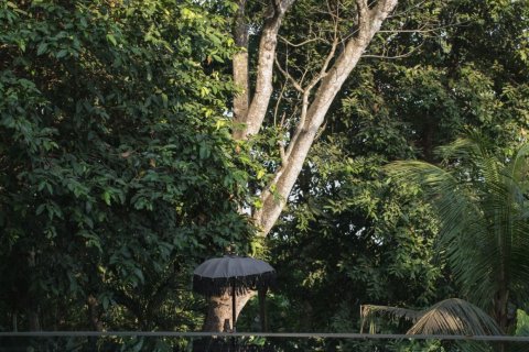 4 bedrooms House in Tumbak Bayuh, Mengwi, Badung, Bali (15651) 17