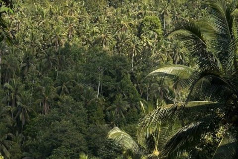 Вилла с 4 спальнями в Табанан,  (9972) 15