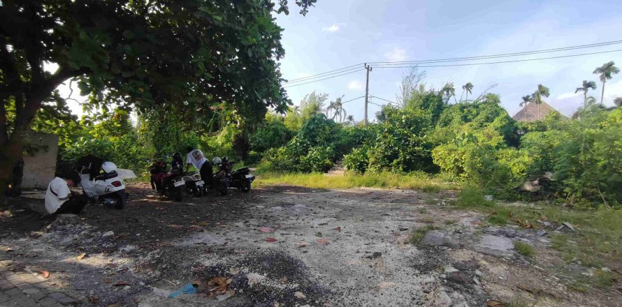 Land in Seminyak, Badung, (9965)