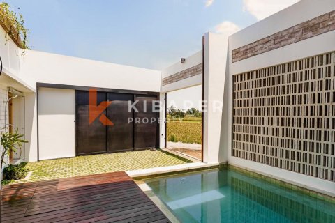 1 bedroom Villa in Pererenan, Mengwi, Badung, Bali (13322) 11