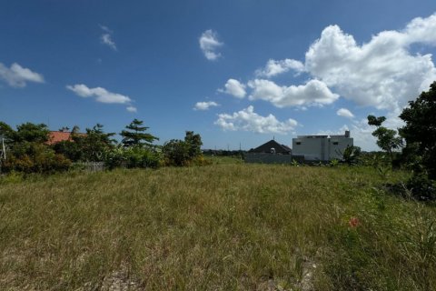 Land in Canggu, Badung, Bali (11885)