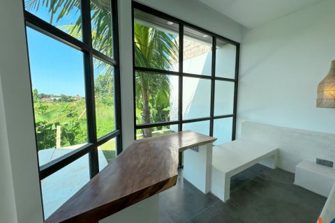2 bedrooms Villa in Ubud, Gianyar, Bali (11889) 5