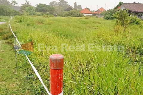 7300m2 Land in Pererenan, Mengwi, Badung, Bali (2536) 4