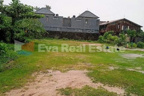 7300m2 Land in Pererenan, Mengwi, Badung, Bali (2536)