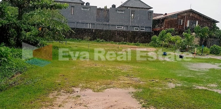 7300m2 Land in Pererenan, Mengwi, Badung, Bali (2536)