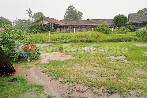 7300m2 Land in Pererenan, Mengwi, Badung, Bali (2536) 2