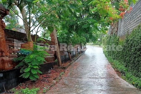 7300m2 Land in Pererenan, Mengwi, Badung, Bali (2536) 6