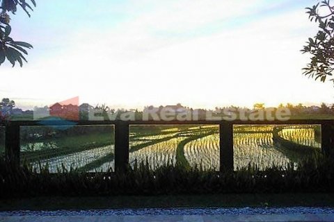 3 bedrooms Villa in Pererenan, Mengwi, Badung, Bali (2535) 13