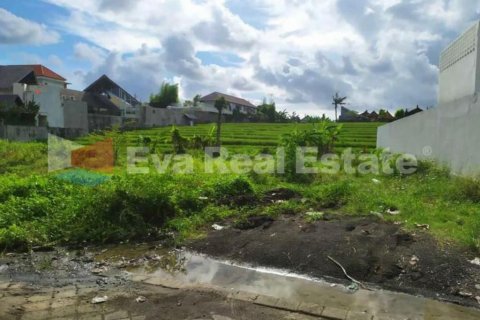 500m2 Land in Tibubeneng, Badung, Bali (2534) 3