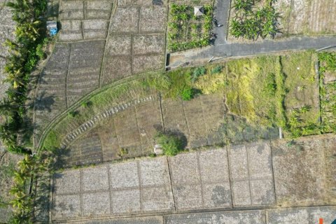 Земельный участок 1900м2 в Табанан, Бали (12042) 5
