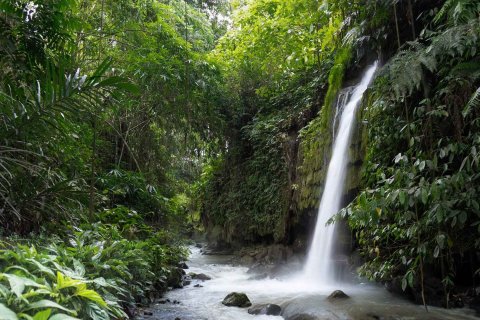 Serenity Villas in Ubud, Gianyar, Bali (10387) 8