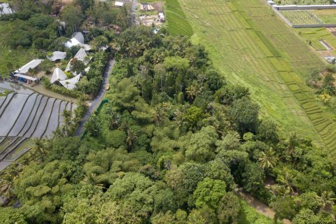 Land in Buwit, Kediri, Tabanan, Bali (4420) 12