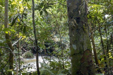 Land in Buwit, Kediri, Tabanan, Bali (4420) 13