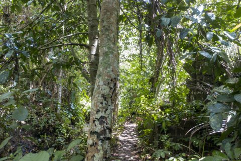 Land in Buwit, Kediri, Tabanan, Bali (4420) 19