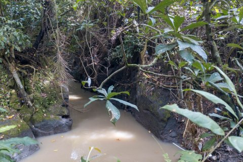 Land in Buwit, Kediri, Tabanan, Bali (4420) 6