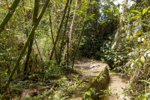 Land in Buwit, Kediri, Tabanan, Bali (4420) 21