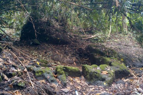 Land in Buwit, Kediri, Tabanan, Bali (4420) 4