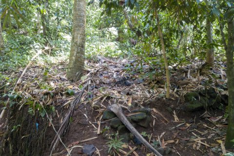 Land in Buwit, Kediri, Tabanan, Bali (4420) 18