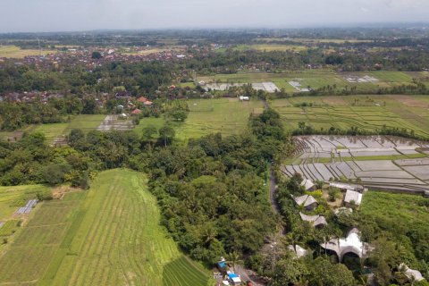 Land in Buwit, Kediri, Tabanan, Bali (4420) 9