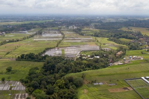 Land in Buwit, Kediri, Tabanan, Bali (4420) 7