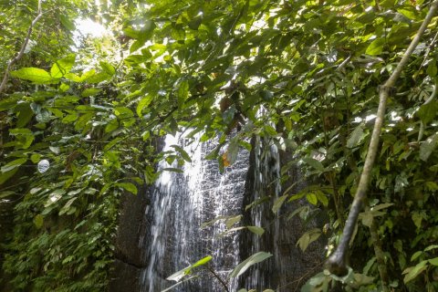 Land in Buwit, Kediri, Tabanan, Bali (4420) 11